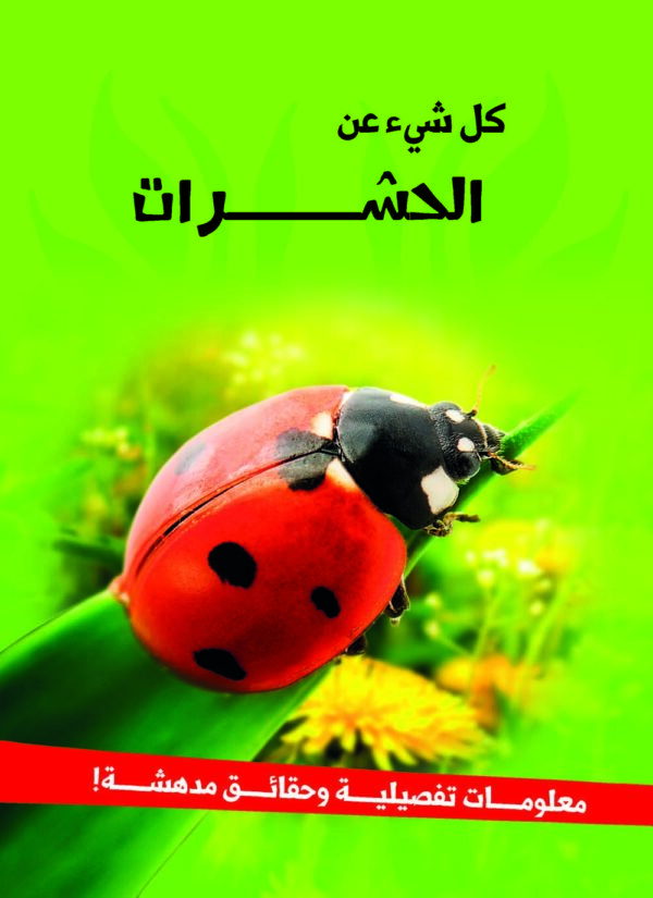 ⁦الحشرات⁩ - الصورة ⁦1⁩