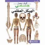 الهيكل العظمي