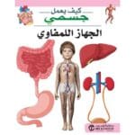 الجهاز اللمفاوي