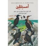 أمستلفين
