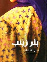 بير زينب