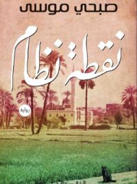 نقطة نظام
