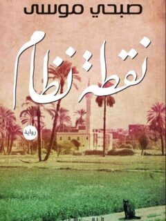 نقطة نظام