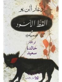 القط الأسود وقصص أخرى