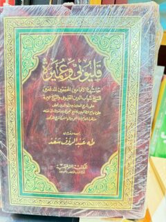 قليوبي وعميرة 4/1